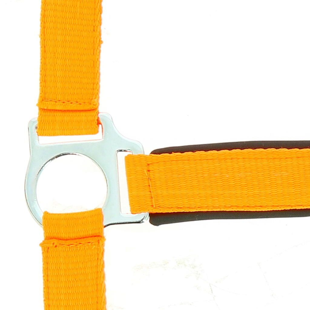 NORTON "Fluo" zweilagiges Halfter