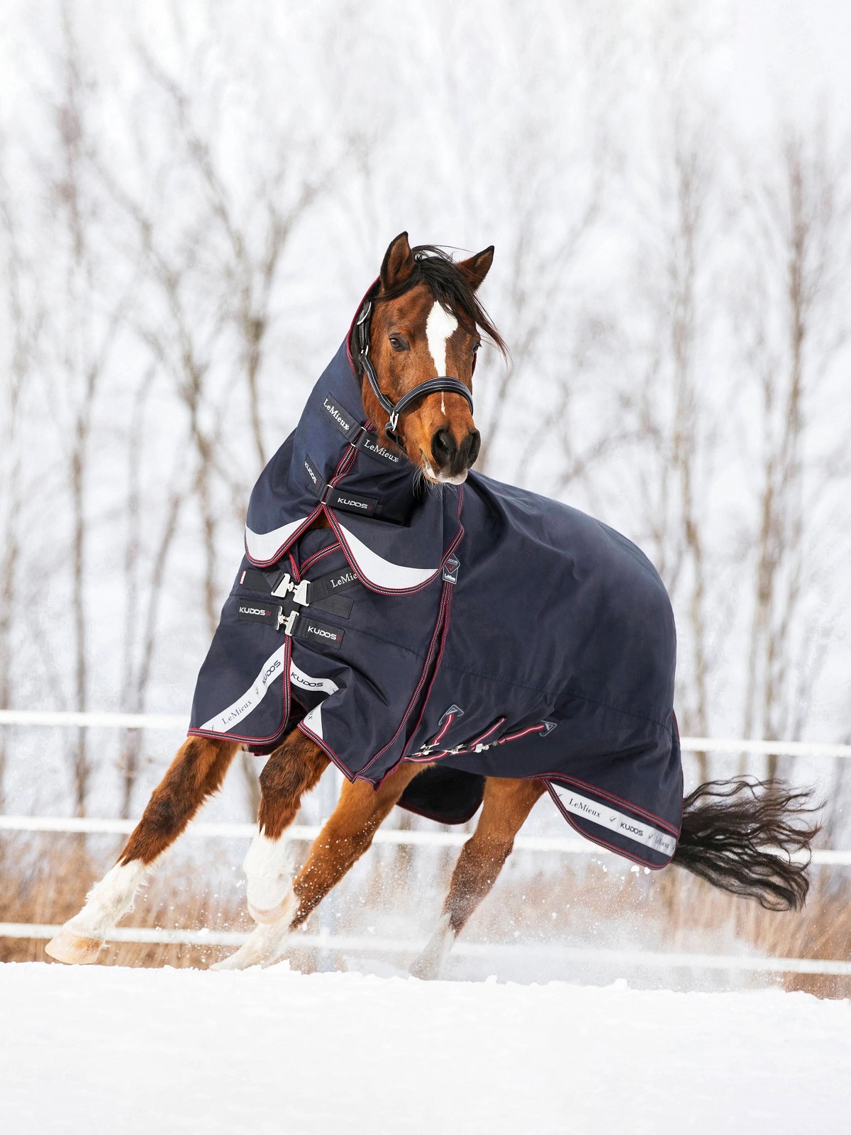 LeMieux Kudos Turnout Rug, Weidedecke, Pferdedecke, 200g Füllung, navy