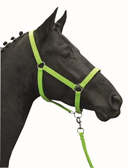 HKM Halfter "Stars Softice"