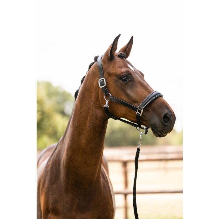 HKM Lederhalfter "Glamour"
