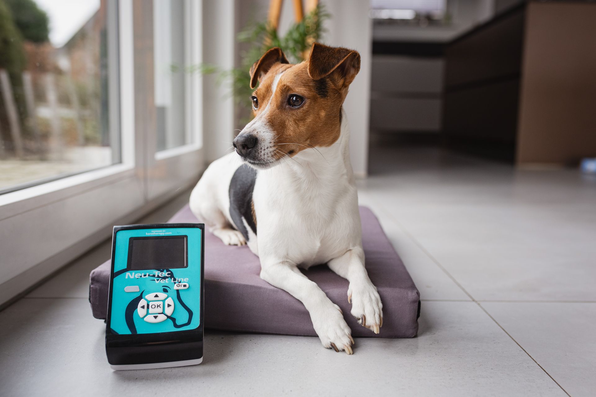 Neu- Tec Vet-Line PET (SET)