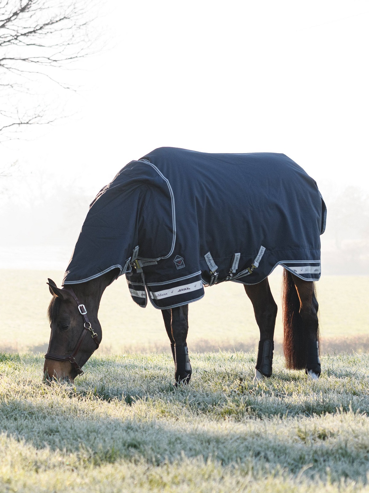 LeMieux Arika Storm-Tek Rug, Weidedecke, Pferdedecke, 100g Füllung, navy