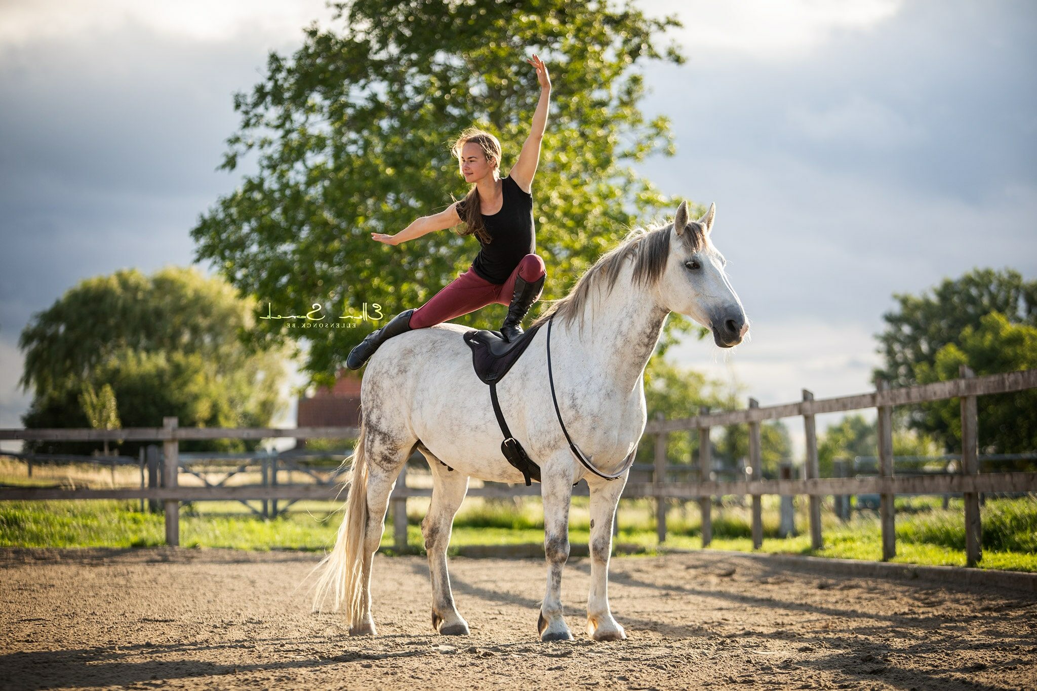 ThinLine Comfort Bareback Saddle Pad, Sattelpad, Reitpad