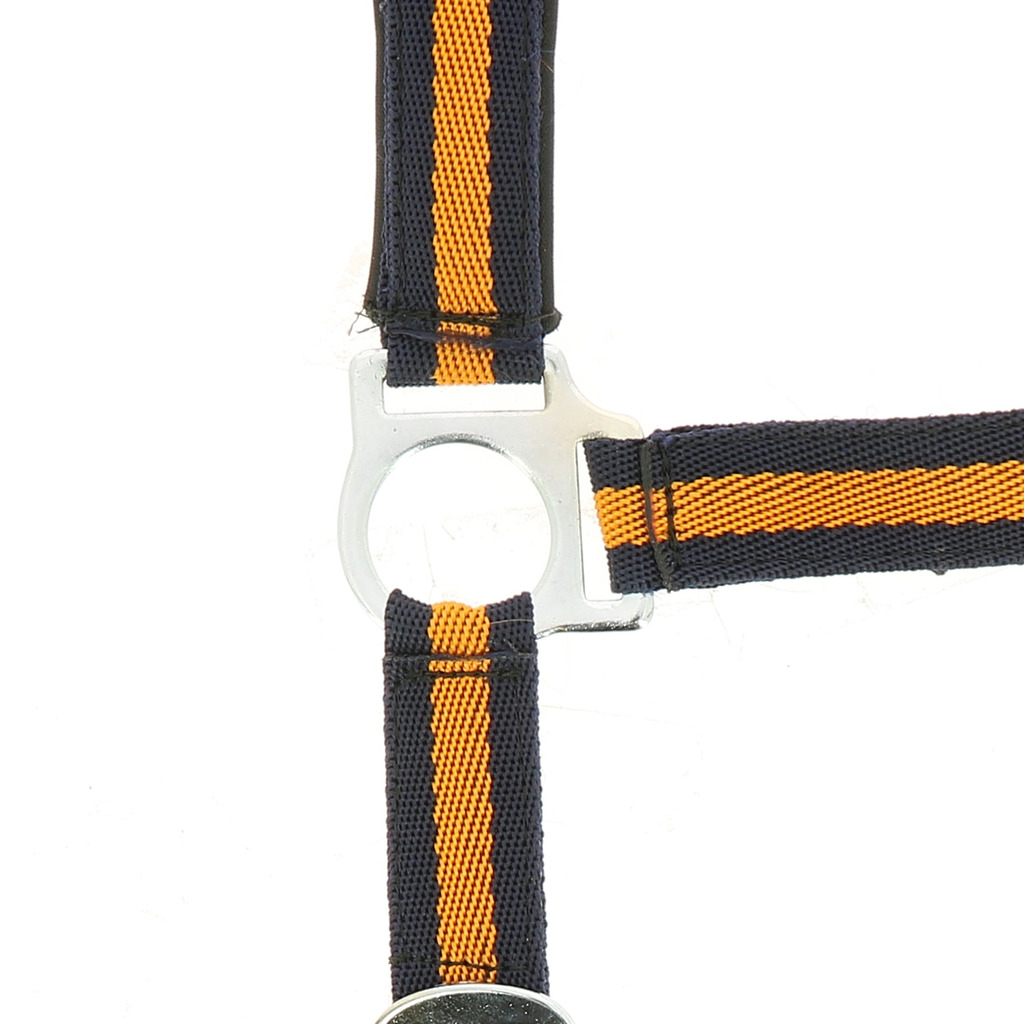 NORTON Nylon Halfter, mit Neopren unterlegt