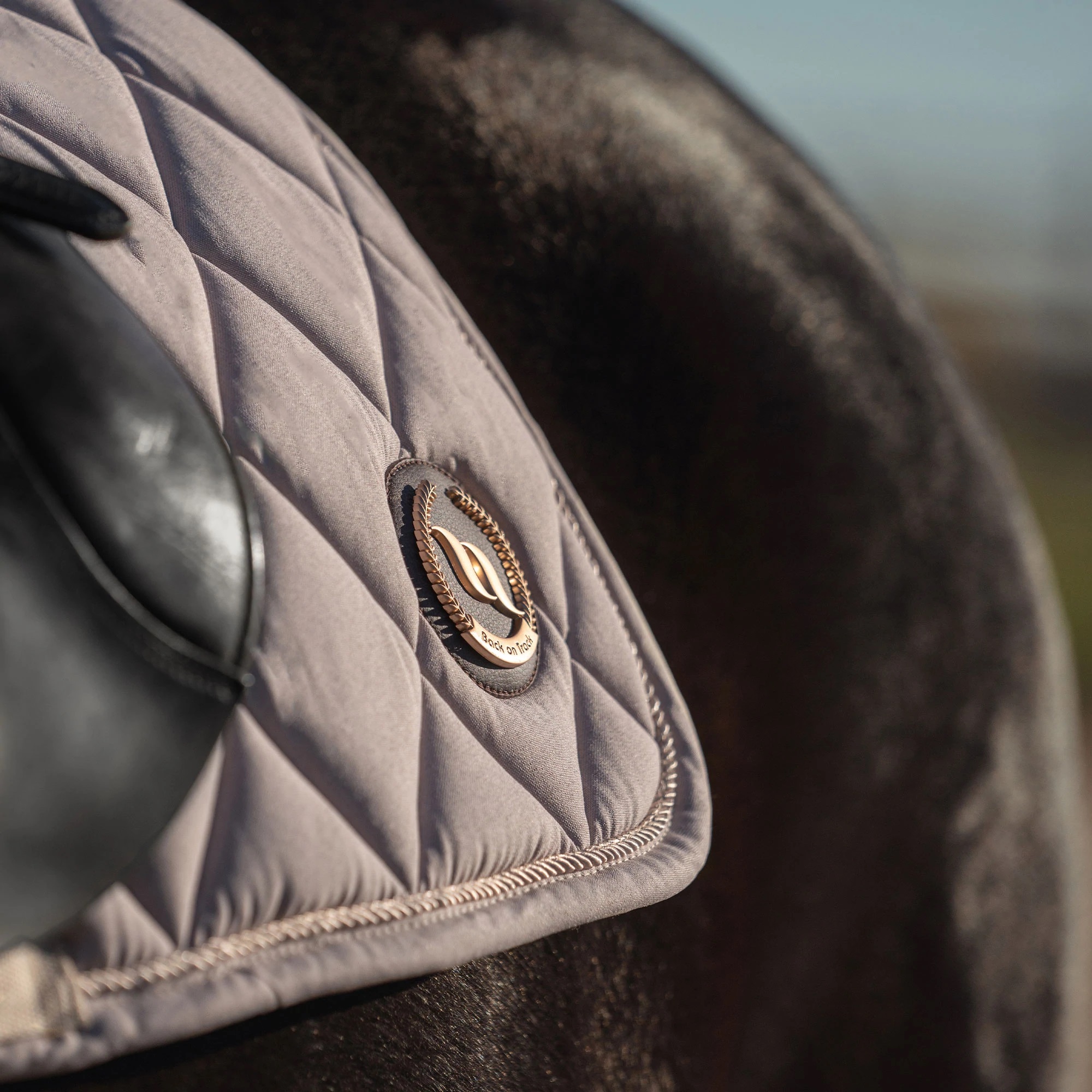 Back on Track Haze Collection Schabracke, Springen, light beige