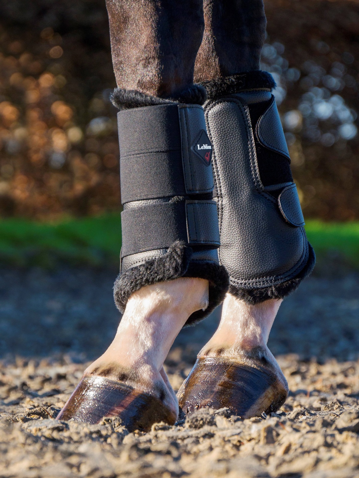 LeMieux Fleece Lined Brushing Boots, Gamaschen