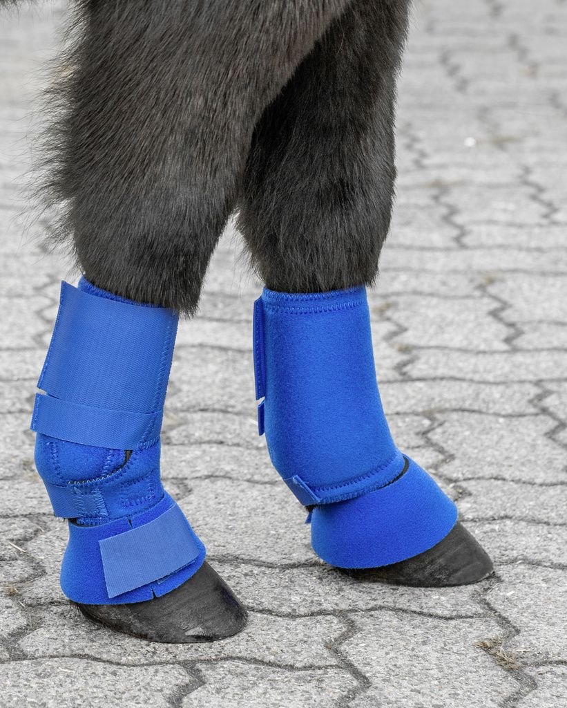UGS Shetty Hufglocken