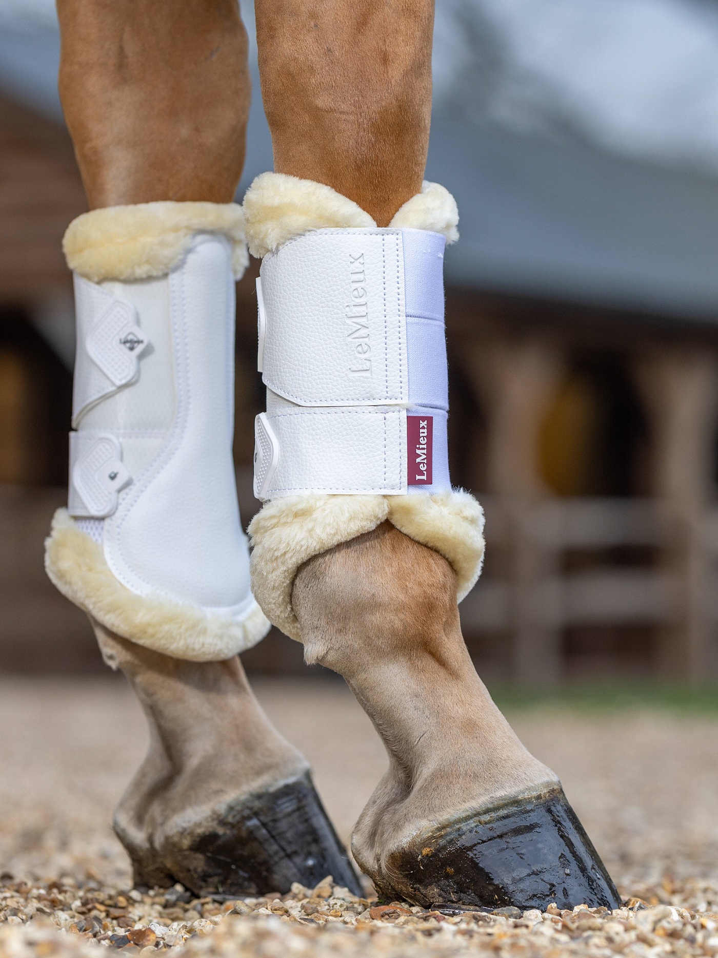 LeMieux Fleece Edged Mesh Brushing Boots, Gamaschen, Arbeitsgamaschen