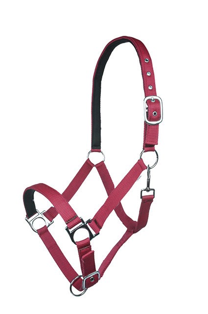 HKM Halfter "Stars Softice"