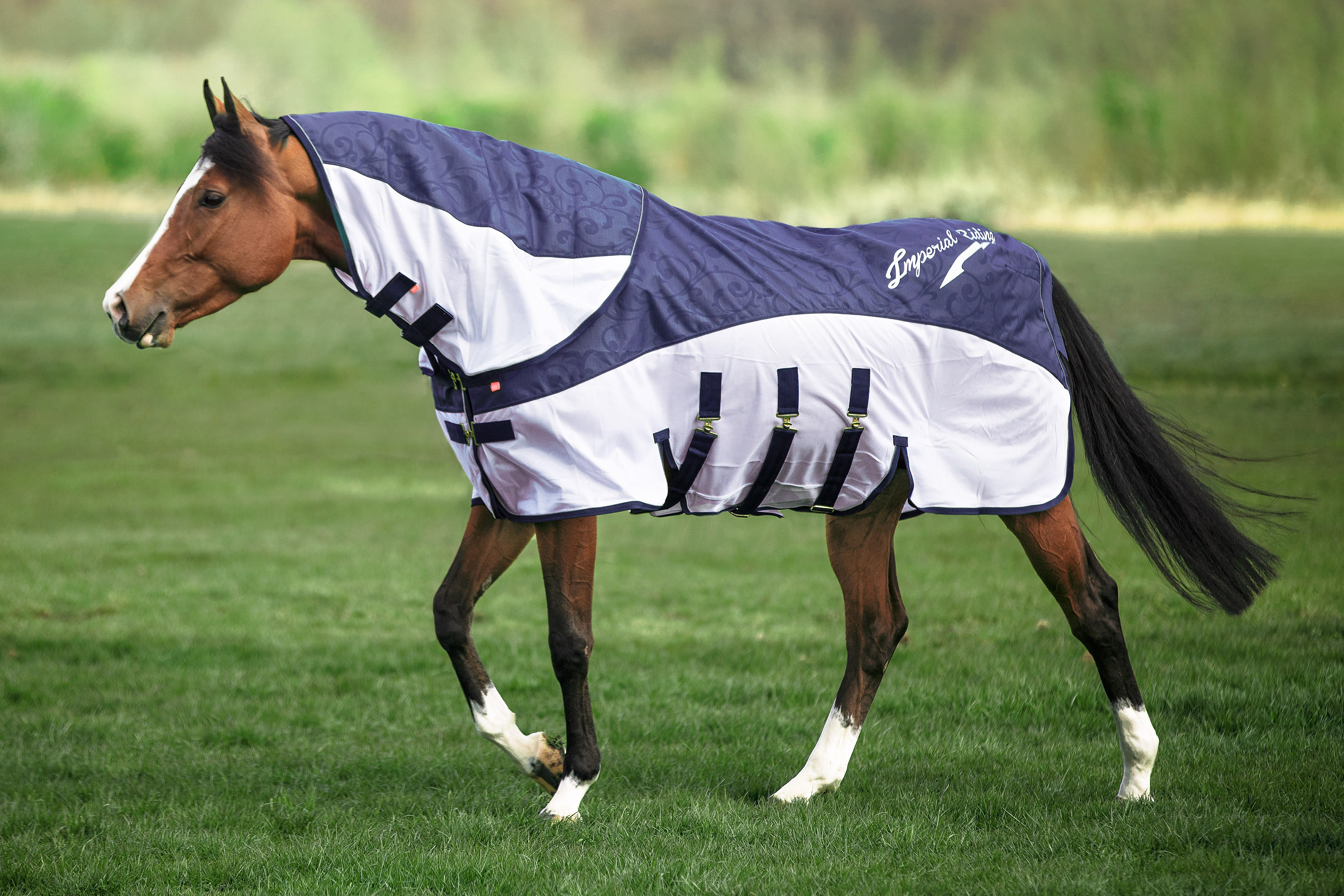 Imperial Riding Halsteil für Outdoordecke IRHSuper-dry 600D navy Kombi