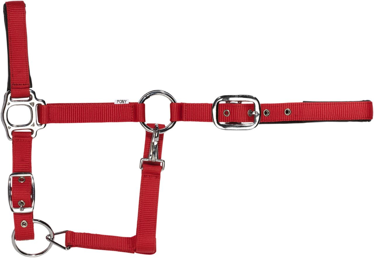 USG Halfter rot