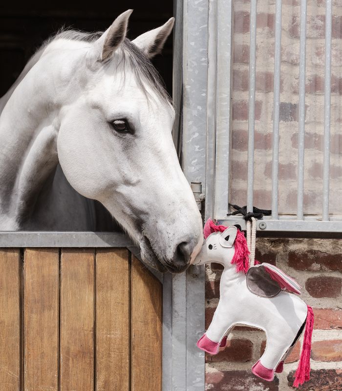 Pferdespielzeug Einhorn "Emily", Spielzeug