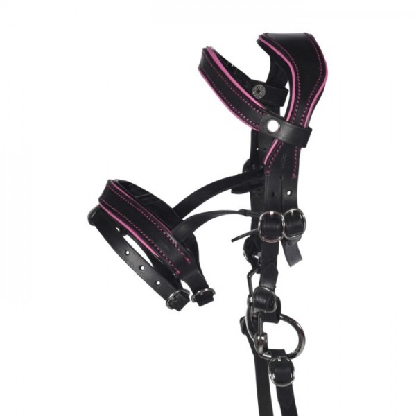 HKM Ledertrense Manchester "Hobby Horsing"