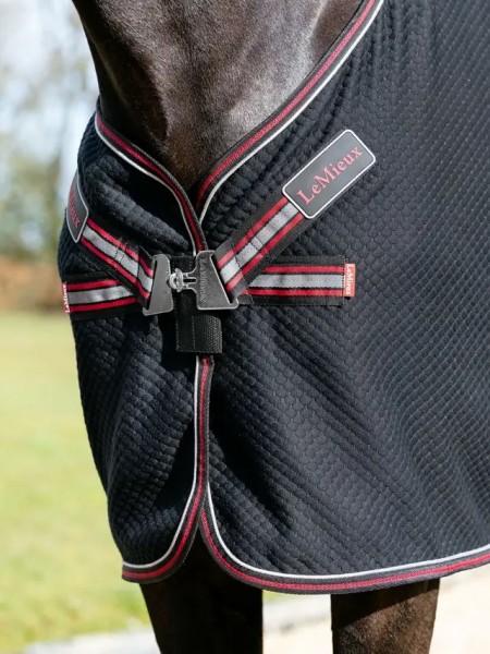 LeMieux Kudos Bambus Abschwitzdecke