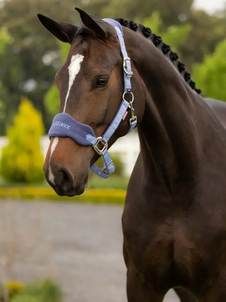 LeMieux Vogue Halfter und Führstrick