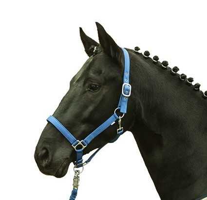 HKM Halfter &quot;Stars Softice&quot;,kornblau,Warmblut,Sale