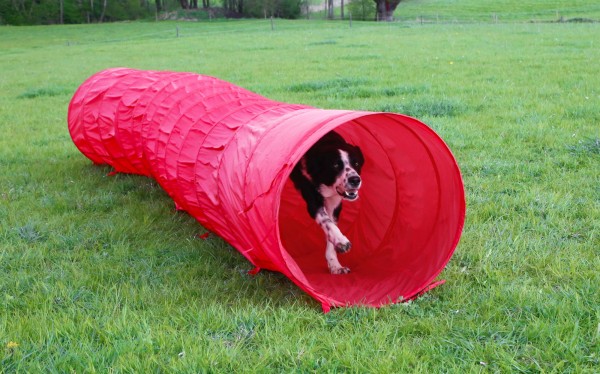 Kerbl Hundetunnel "Agility", rot, 5 m lang, 60 cm Durchmesser