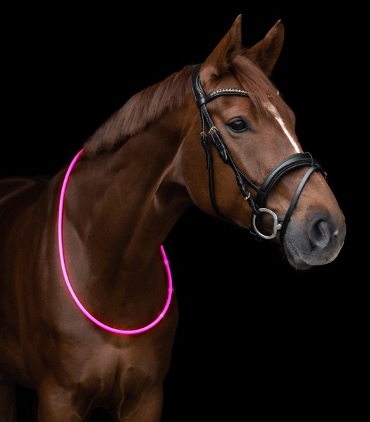 Waldhausen LED Leuchthalsring