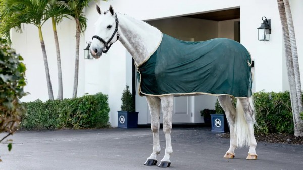 LeMieux Kühlende Decke