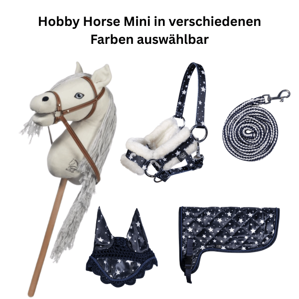 HKM Hobby Horse Starter Set