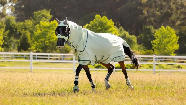 LeMieux Arika Armour-Tek Fliegendecke, Macaron